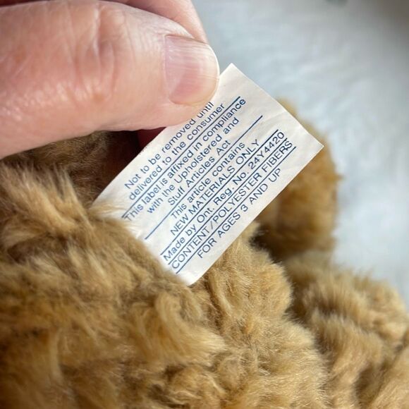 10” DGE plush curly haired Teddy bear with red heart. - Picture 6 of 9